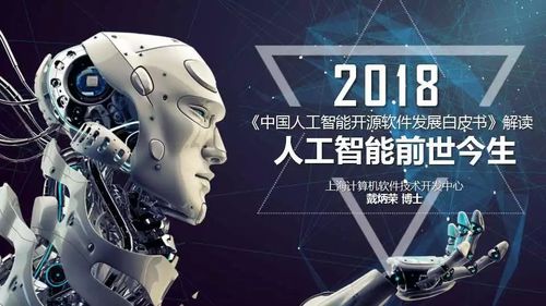 中國人工智能開源軟件發展白皮書2018解讀——兼論人工智能理論與算法軟件開發